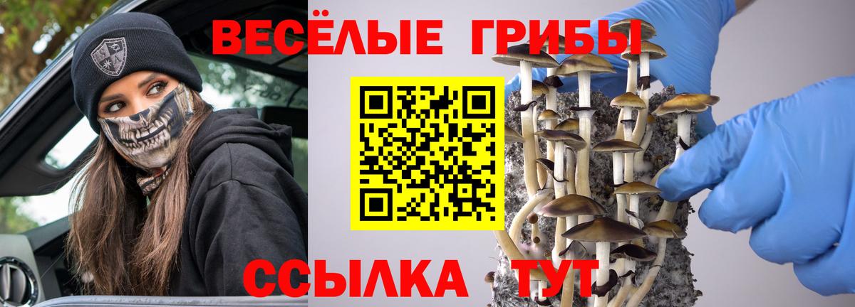 Галлюциногенные грибы Psilocybine cubensis  Галлюциногенные грибы Psilocybine cubensis  Вход с VPN  Мелеуз 